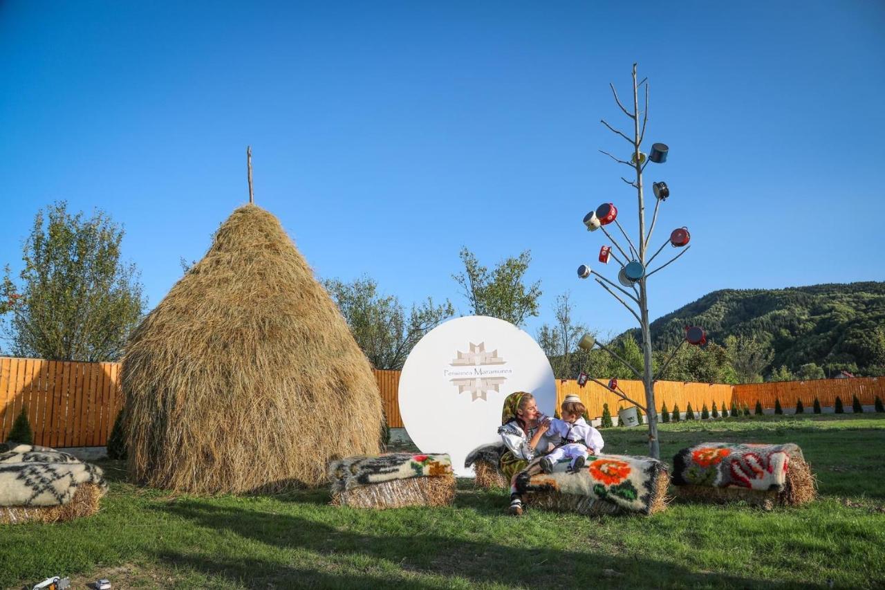 Pensiunea Maramures Guesthouse Вишеу-де-Жос Экстерьер фото