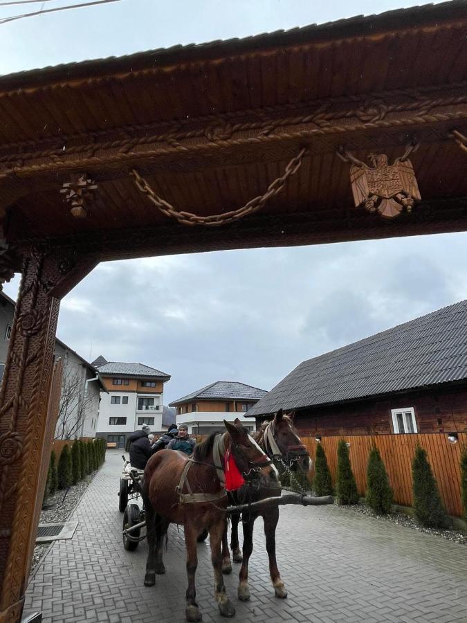 Pensiunea Maramures Guesthouse Вишеу-де-Жос Экстерьер фото