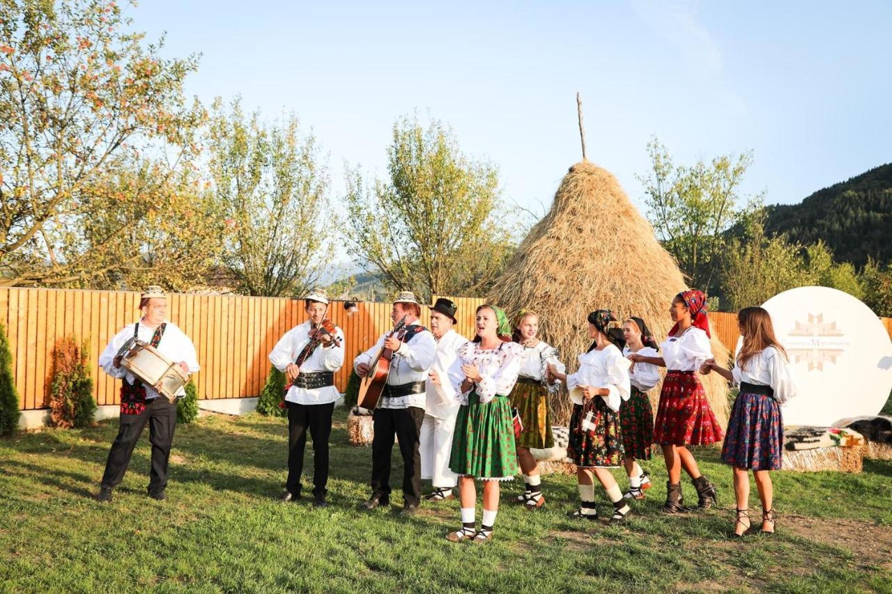 Pensiunea Maramures Guesthouse Вишеу-де-Жос Экстерьер фото